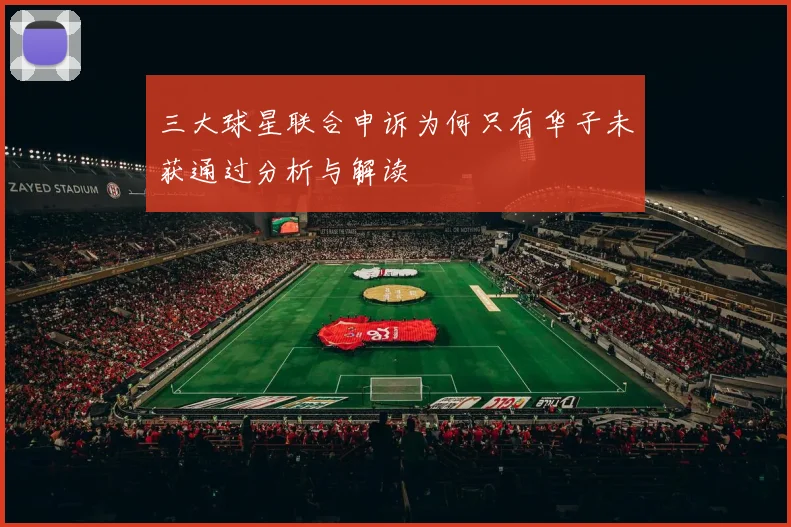 三大球星联合申诉为何只有华子未获通过分析与解读